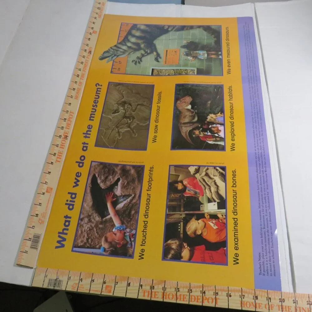 Dinosaurs & Groundhog Posters (7) EXTRA LARGE LAMINATED and non lam. Classroom